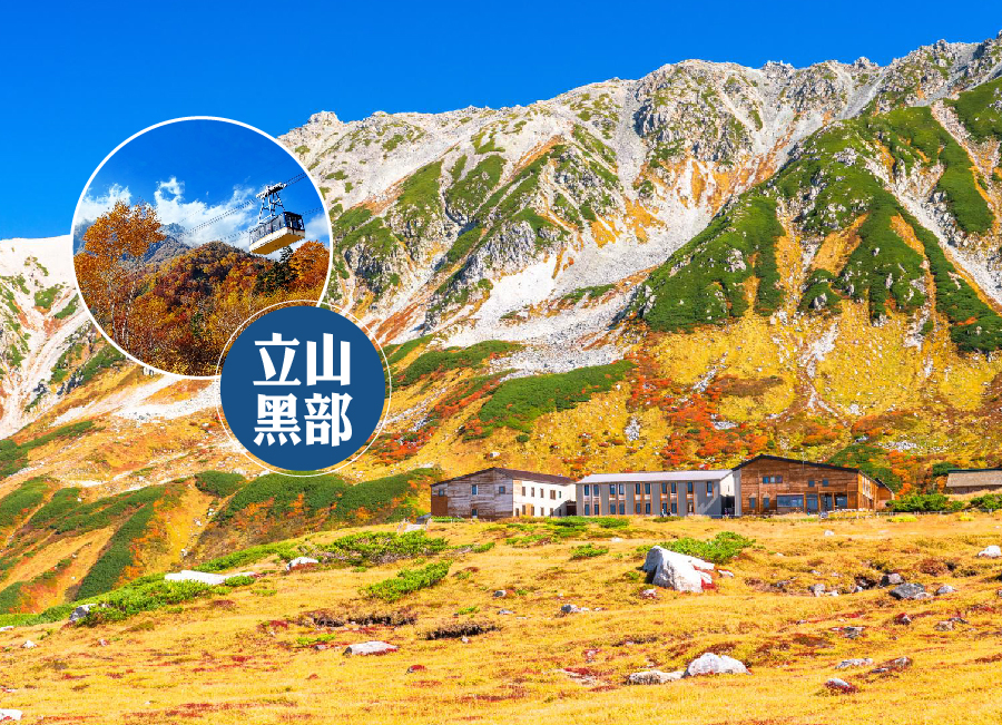 漫步楓紅立山黑部5日.秘境上高地.白川鄉合掌村.兼六園.花海絕景.金箔冰淇淋.飛驒牛料理.雙溫泉