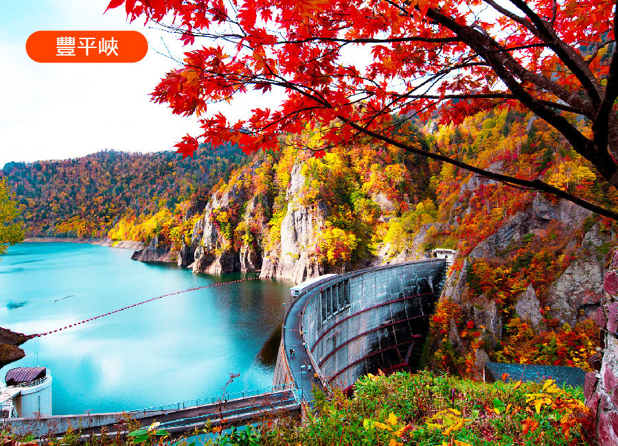 
楓華浪漫北海道5日.紅色掃帚草.定山溪豐平峽.大沼遊船.函館山纜車.香雪園.和牛三大蟹吃到飽