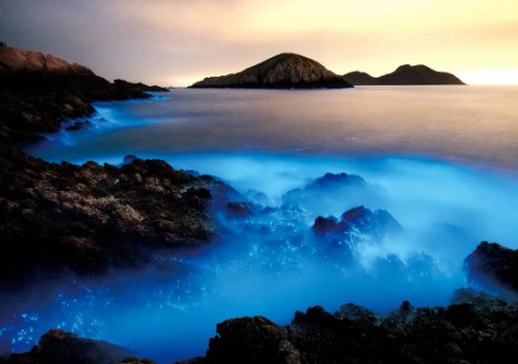 馬祖南北竿三日+夜間坑道藍眼淚