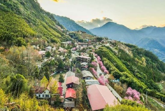 上帝的部落~司馬庫斯~6人成行!賓士車來回接送!