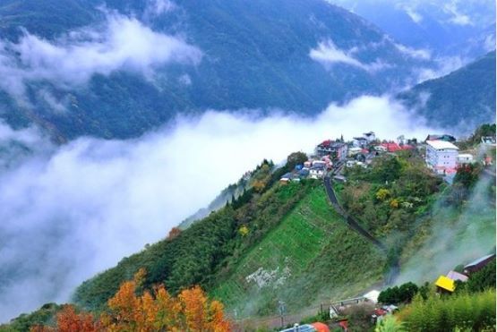 桃園拉拉山神木景觀步道一日遊~8人成行