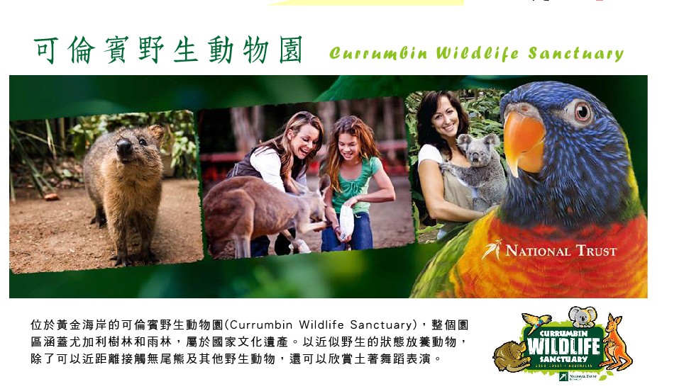 【澳遊客】黃金海岸嗨旅遊6天海豚島滑沙、雨林導覽、餵食海豚、動物園、螃蟹河生態、鬧區逛街打卡 -