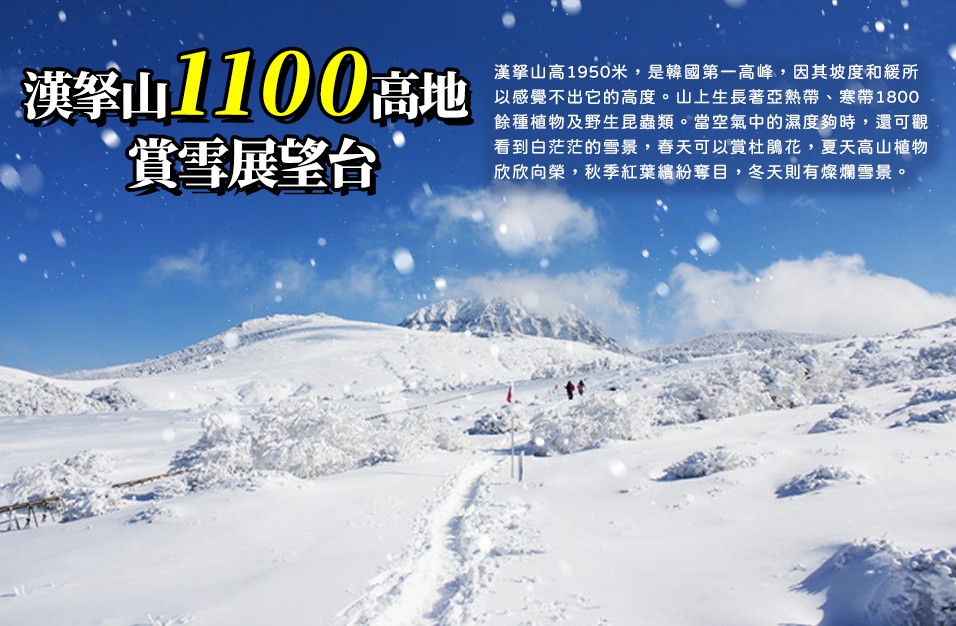 威風濟州冬雪~(不走人蔘、保肝、土產)島中之島~牛島、漢拏山賞雪、跆拳武藝秀、騎駱駝、英式小火車、羊駝牧場體驗五日